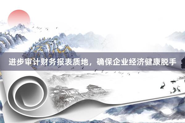 进步审计财务报表质地，确保企业经济健康脱手